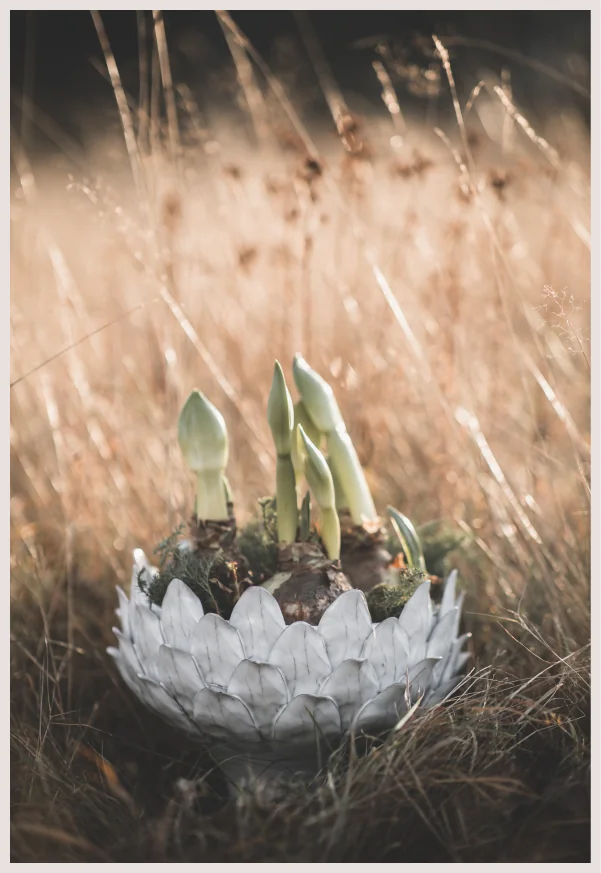 Styling & Set Design – projektbild 49